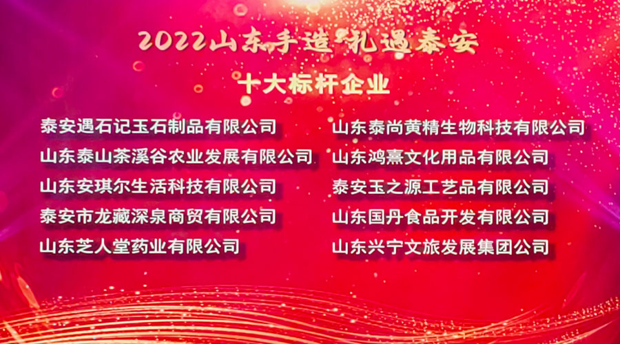 十大標(biāo)桿企業(yè)3.jpg